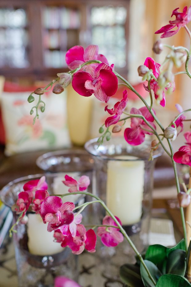 rožinis orchidėjų priartinimas