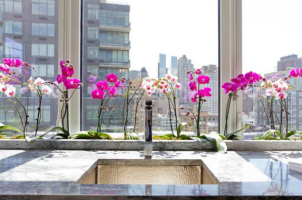Virtuvės dekoravimo lango orchidėjos balta violetinė
