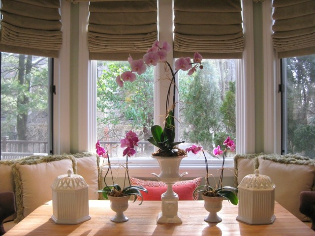 dekoravimo orchidėjos pasodino baltą porcelianą