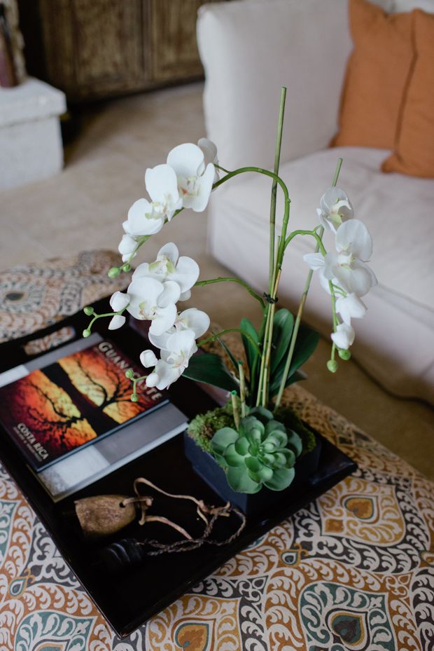 baltos orchidėjų svetainės dekoravimas