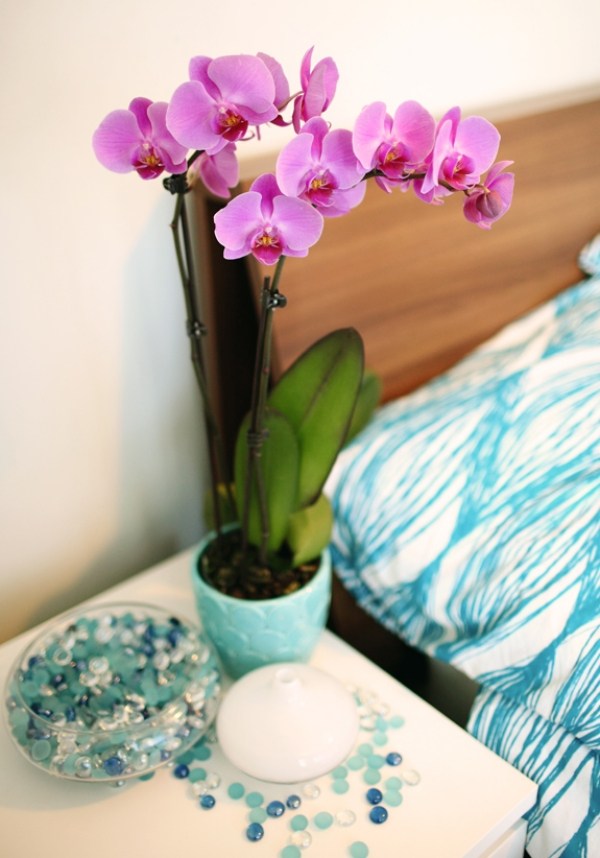 Mėlyna violetinė orchidėjų miegamojo apdaila