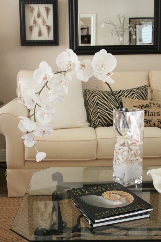 orchidėjų vazos stiklo kriauklės akinanti puošmena