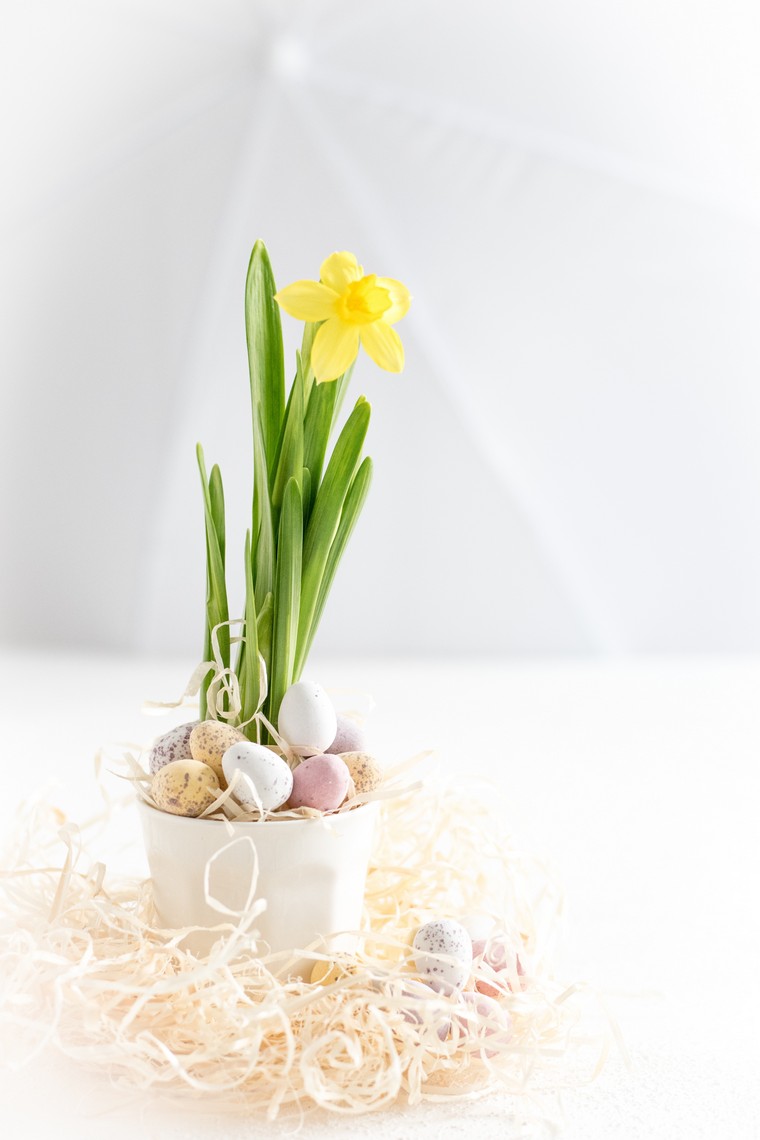 Velykų dekoravimo pavasario gėlių stalo deko idėja
