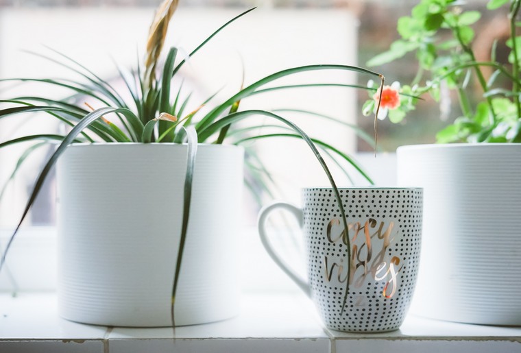 あなたのキッチンデザインのアイデアを飾るトレンディな植木鉢のインテリア