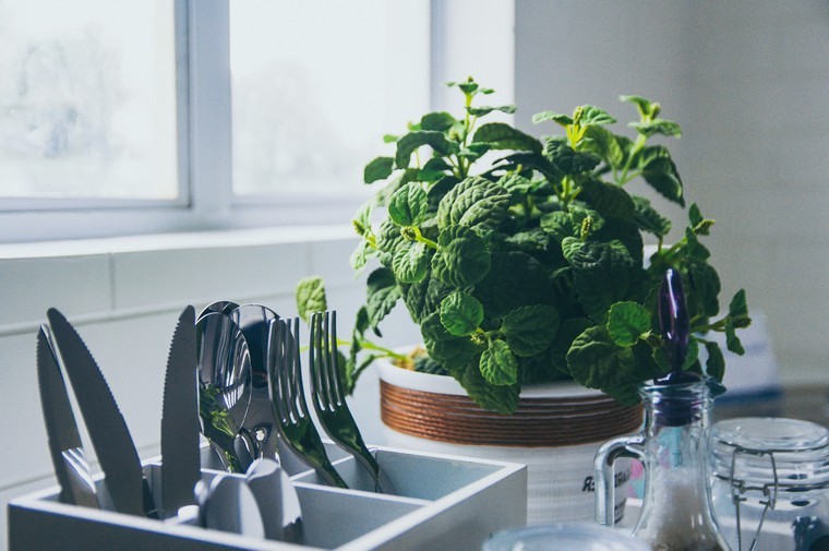 papuoškite savo virtuvės idėją augalų interjero nuotrauka al kawasa