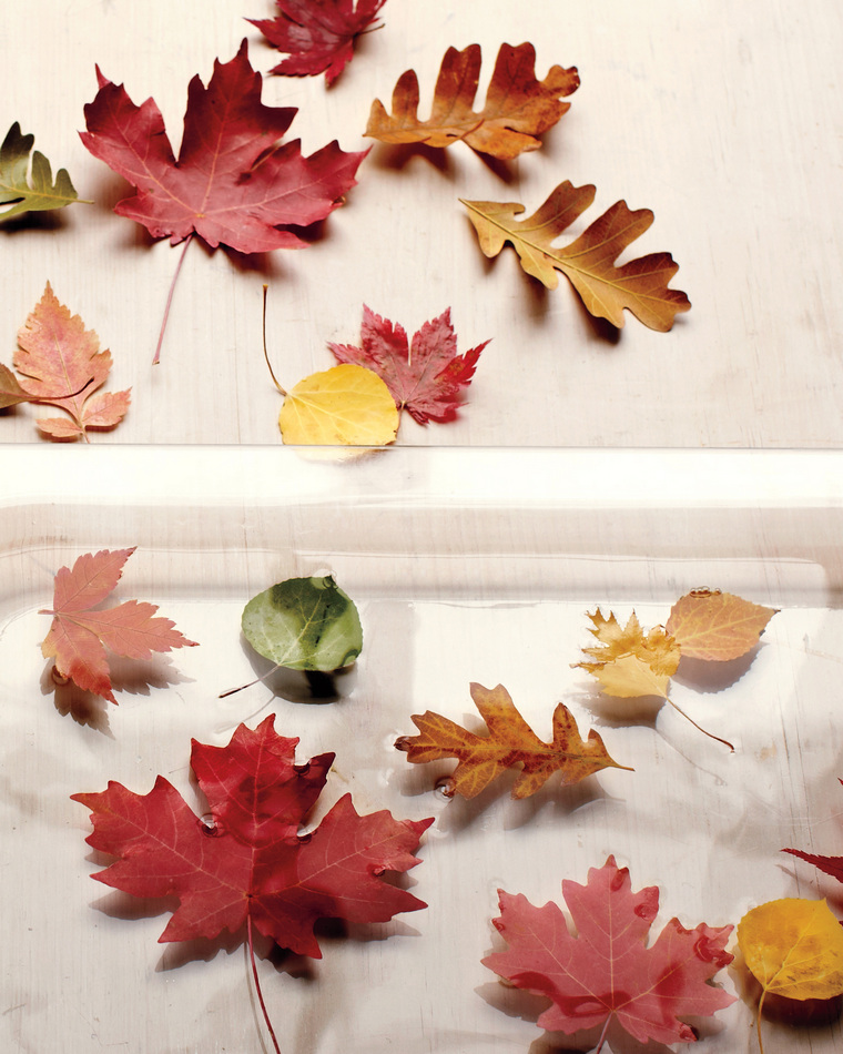 rudens lapų stalo dekoravimas