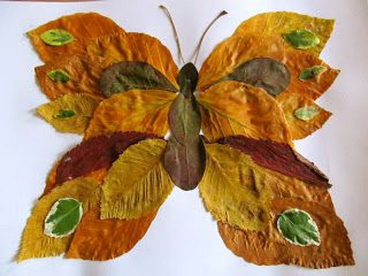 didelis drugelis sukūrė lapus