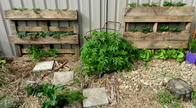 raklap-deco-jardiniere-ötletek-fa-növények-barkács-külső