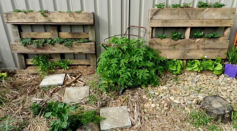 pallet-deco-giardiniere-idee-piante-in-legno-fai-da-te-esterno