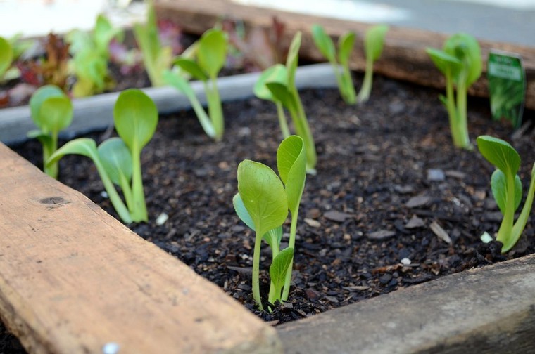 diyパレットプランターのアイデア-deco-pallet-wood-plants-jardiniere-diy-exterior