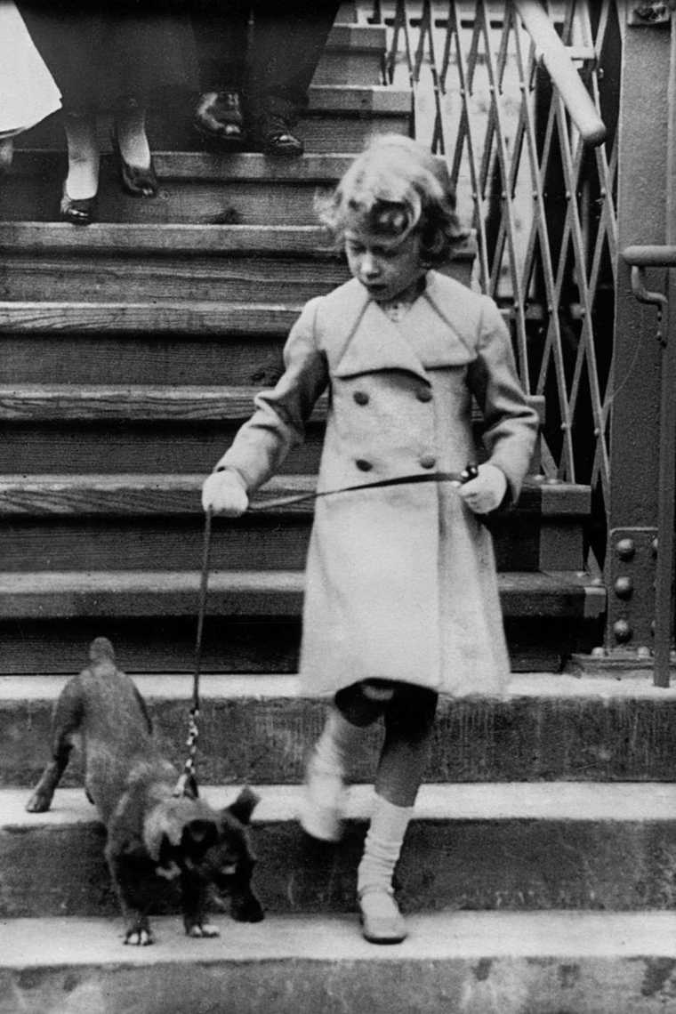 Elžbieta II su savo šunų nuotraukomis