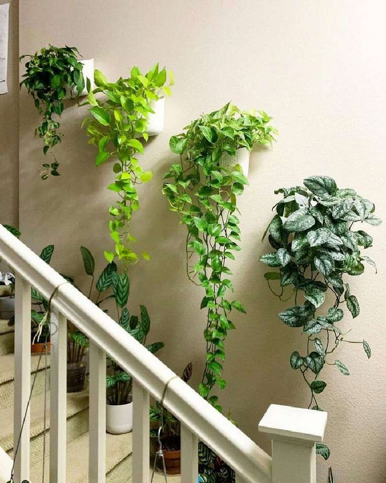 壁の装飾ポット植物