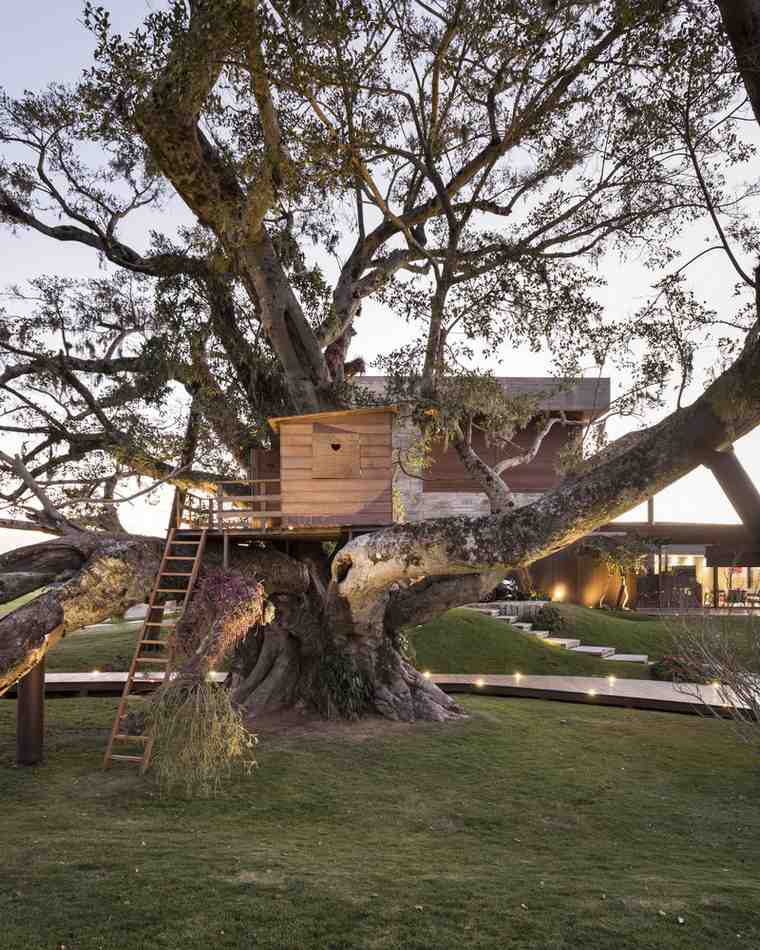 figmedžio gimimo namai Stemmeris Rodriguesas