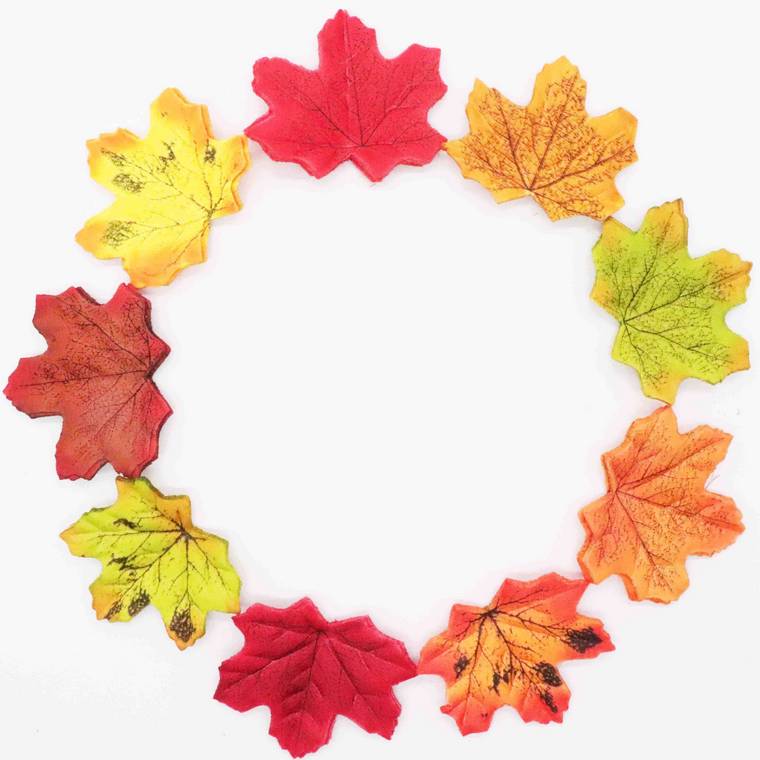 サークルカット紅葉