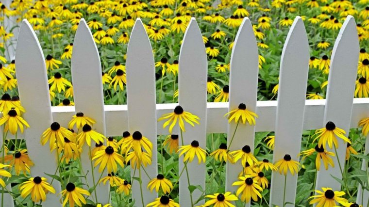 Staccionata in legno bianco giardino deco idea all'aperto