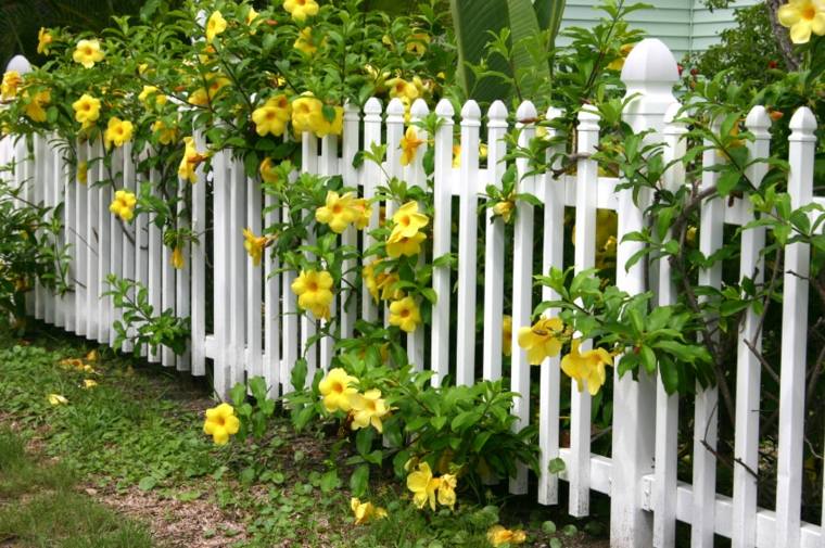 白い木製の柵のアイデア屋外の庭の柵