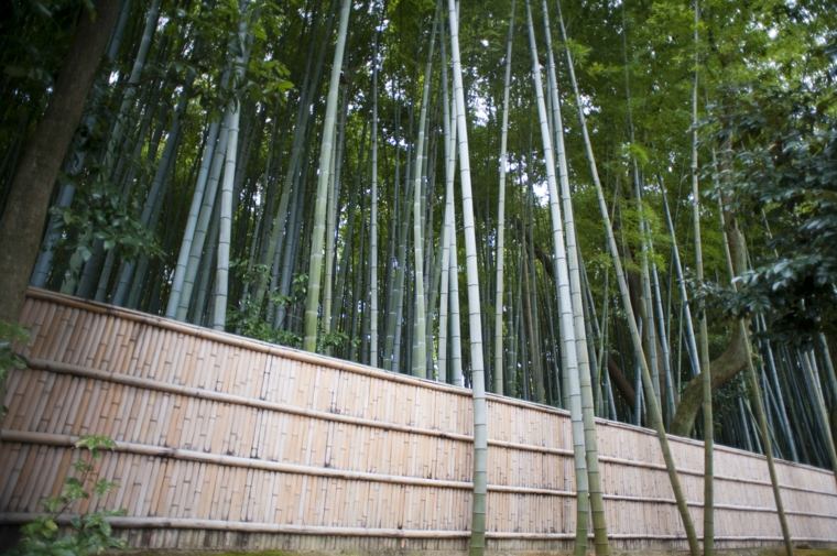 recinzione di bambù giardino fai da te idea originale recinzione