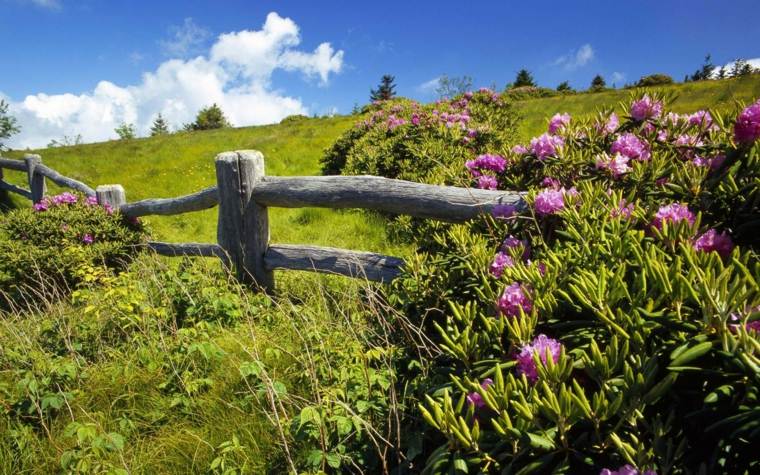 Idea di recinzione in legno rustico paesaggistico del giardino