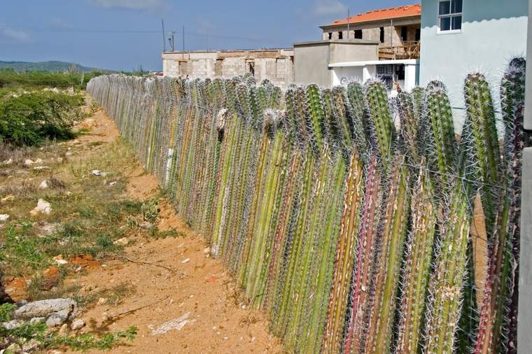 recinzione originale idea giardino esterno per organizzare esterno