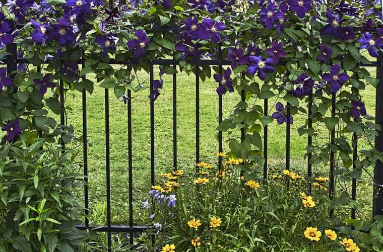 recinzione in metallo idea giardino oscuramento tendenza spazio esterno