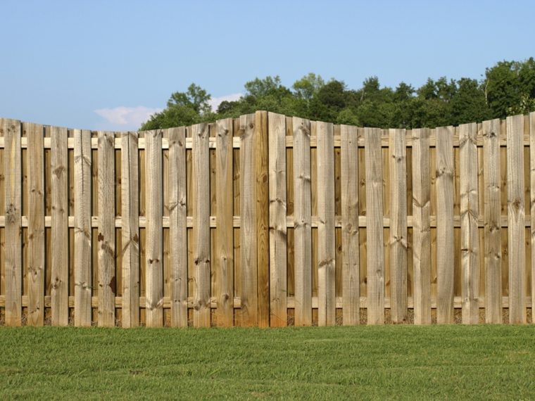 Occultazione del giardino di idea del recinto di legno medio