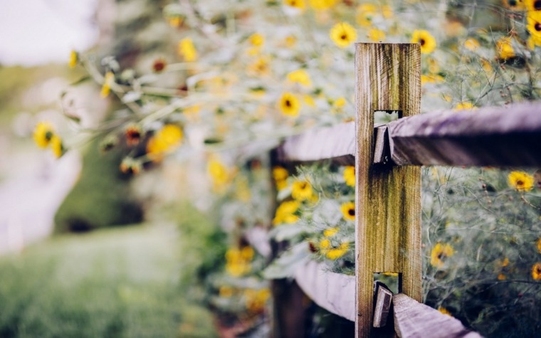 Recinzione da giardino idea legno tendenza fiori all'aperto