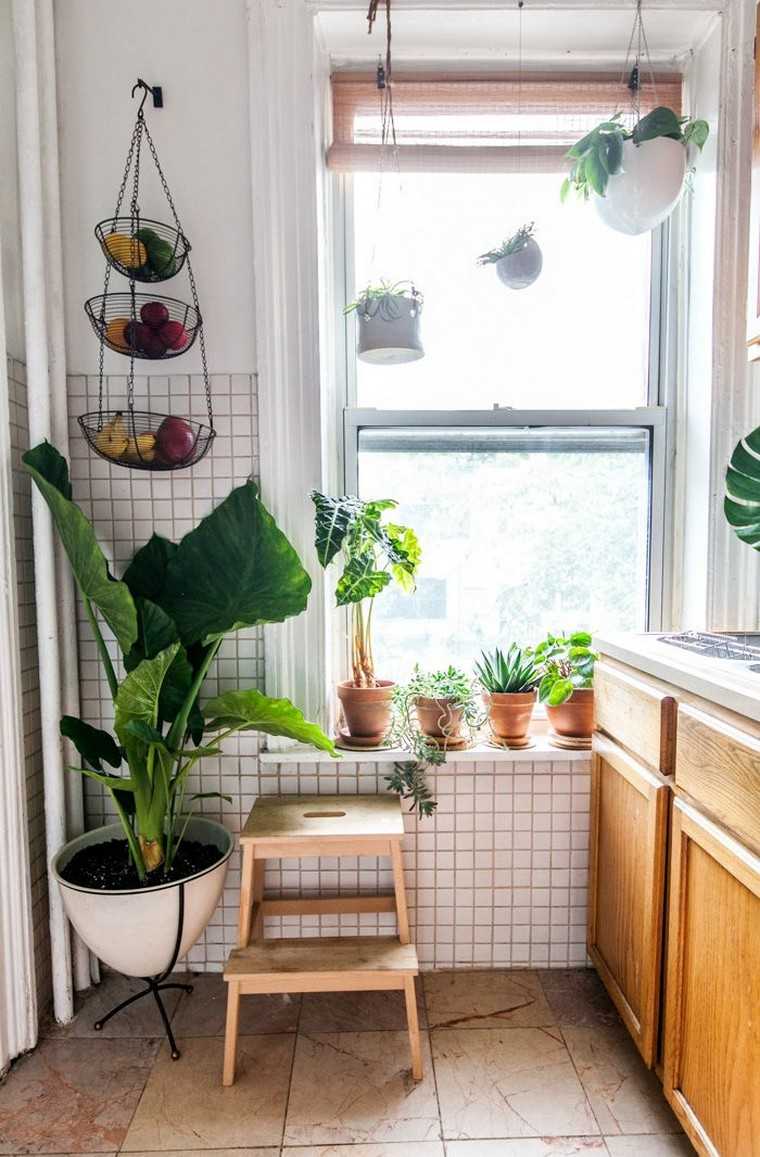 idea decorazione d'interni cucina vaso di piante idea decorazione originale cucina