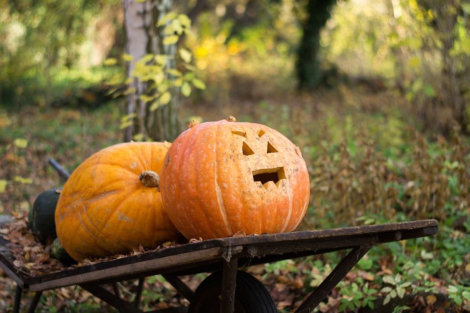 zucca-idea-halloween