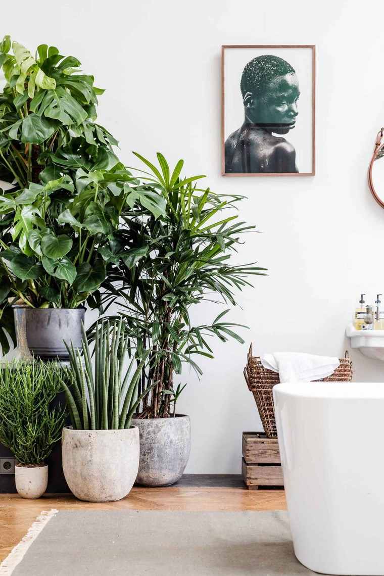 fürdőszoba dekorációs ötletek természet növény fazék fal dekoráció ötlet edény