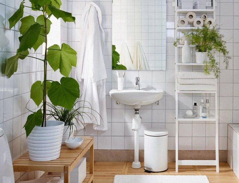 Dekoratív fürdőszoba természet növény pot ötlet fa