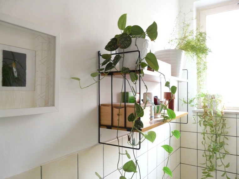 vonios kambario dekoro augalų idėja lentynų interjero plytelės