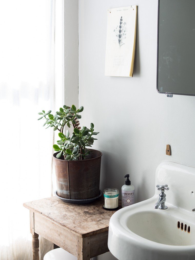 Dekoratív fürdőszoba növényi edény deco fal asztali fa