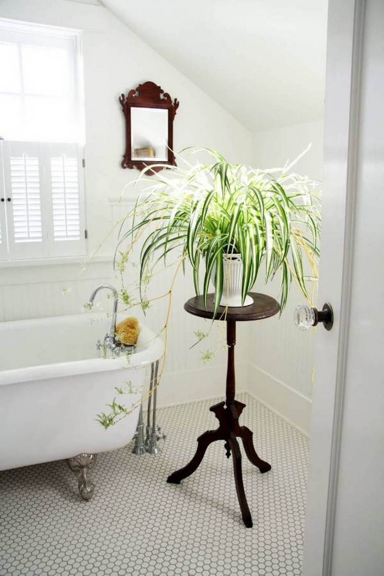 Gamtos vonios kambario dekoro idėja augalų dizaino veidrodinė vonia