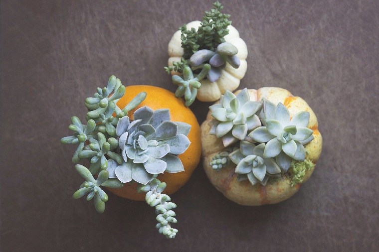 őszi asztal dekorációs ötlet sütőtökkel