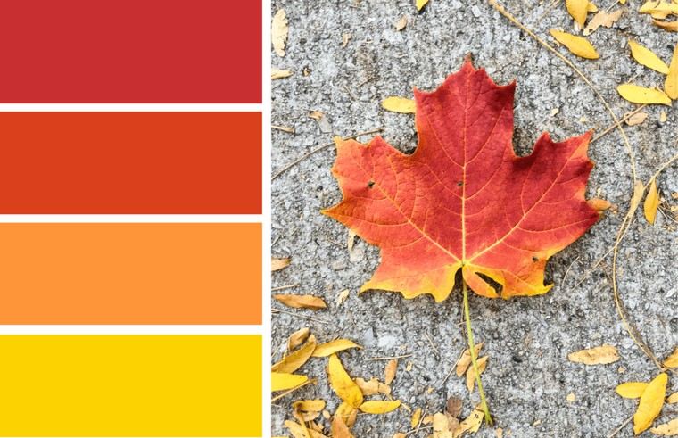 Deco ideje jesensko lišće boje jeseni