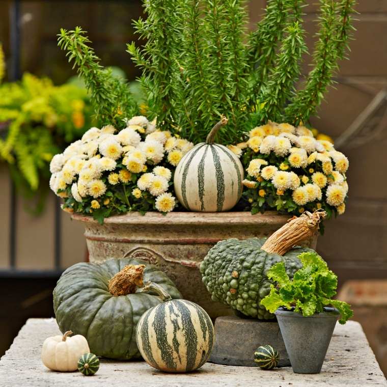 rudens dekoro idėjos su gėlių vazonėliais
