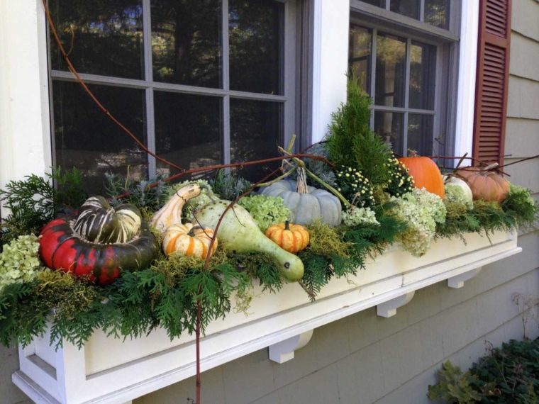 idee per arredare l'autunno con la zucca