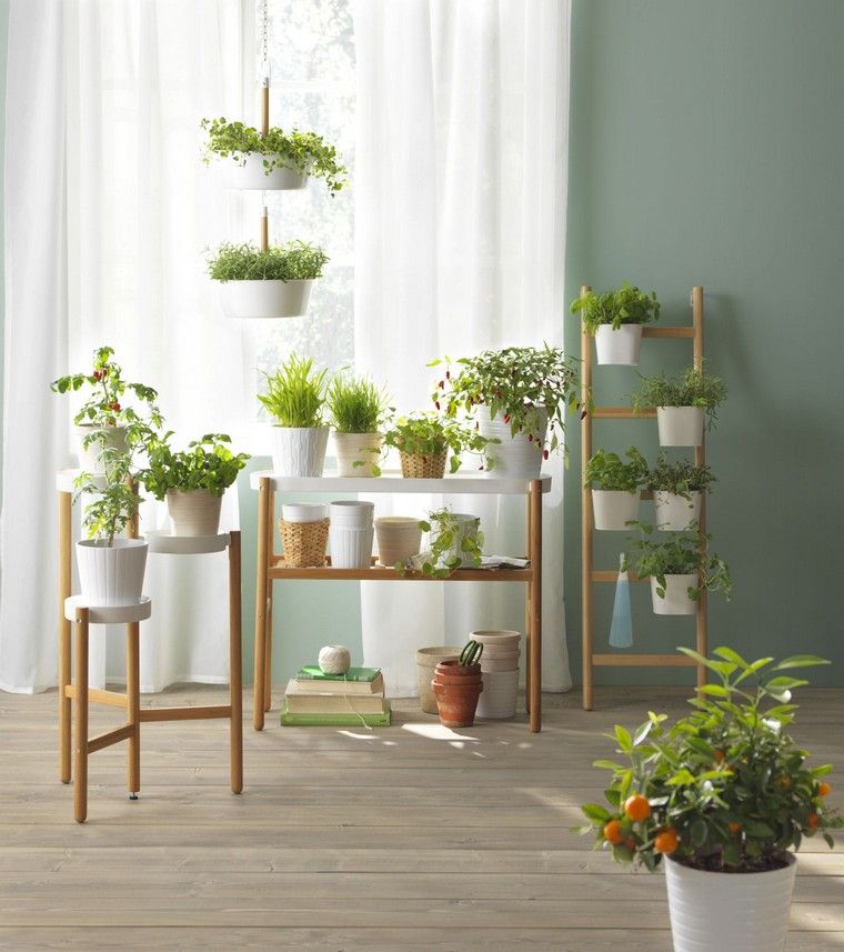 deco-piante-cucina-living-ikea-design