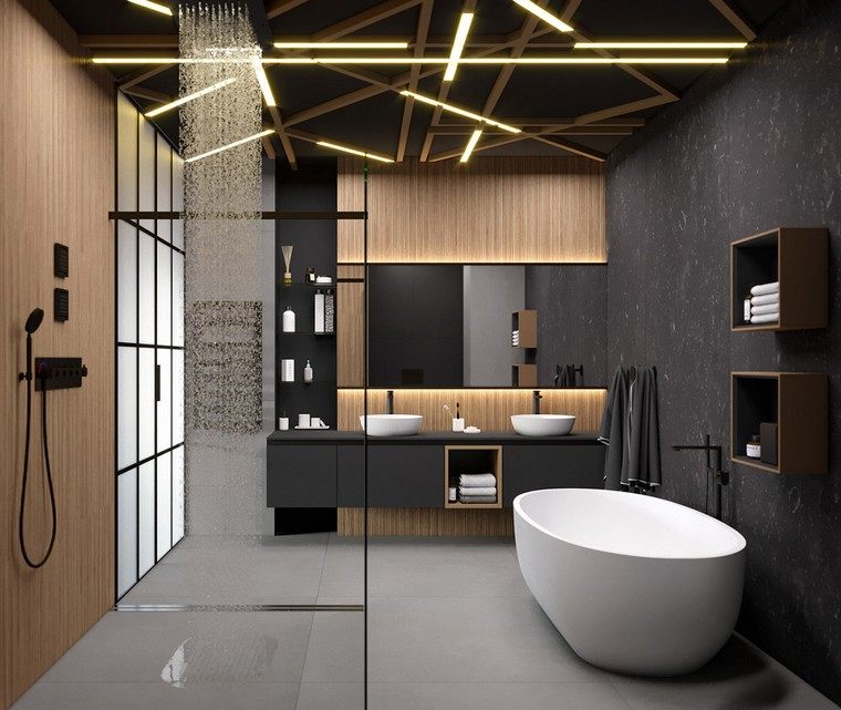 modernaus interjero vonios kambario medinės vonios dušo kabinos lubų apšvietimas