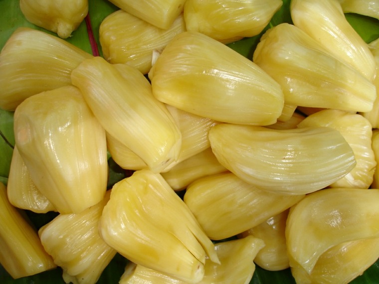 jackfruit fotózás