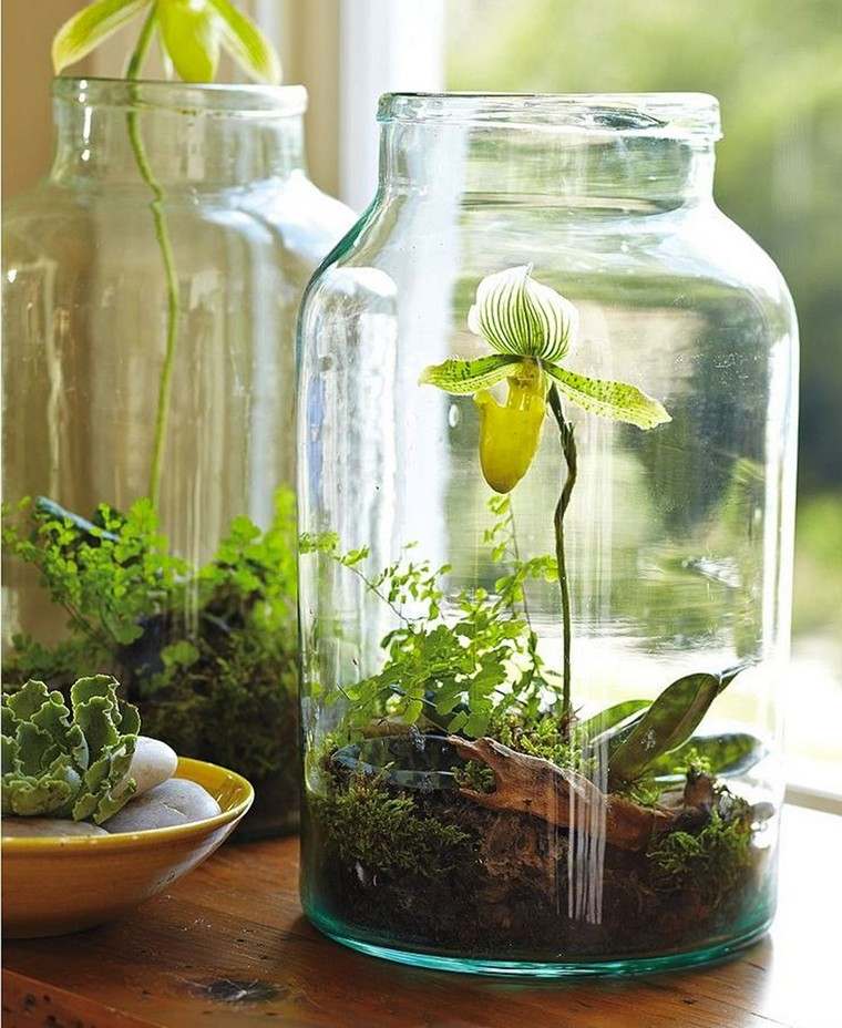 Üveg növény lakás belső deco ötlet növény lakás