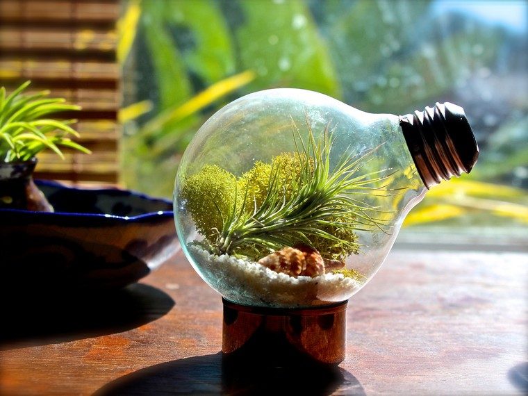 terrárium izzó ötlet mini kert létrehozása mini kert