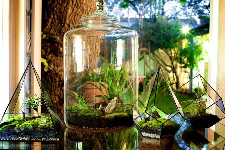 contenitore vetro terrario idea succulente deco