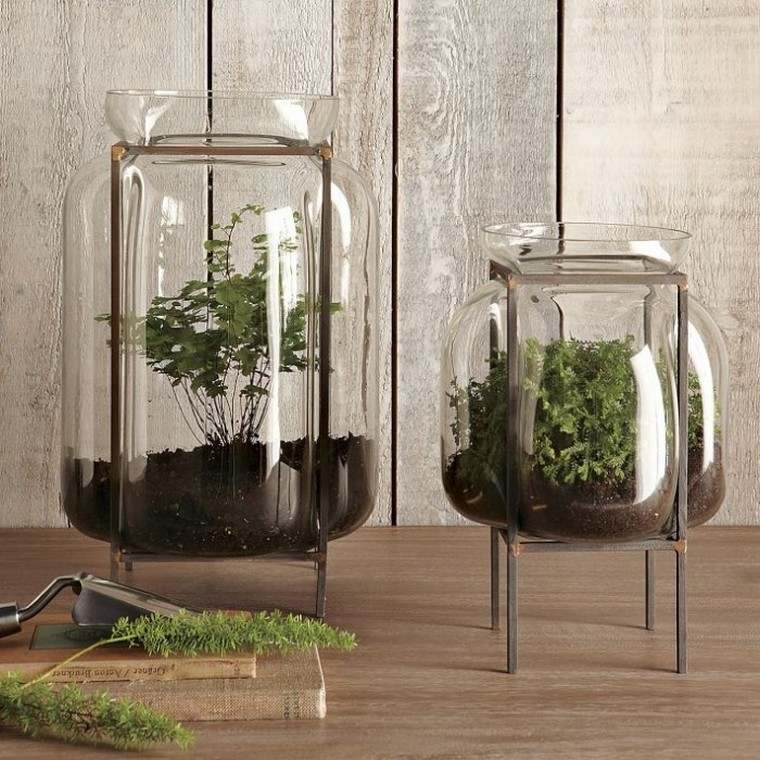 bottiglia idea giardino realizzare appartamento terrario