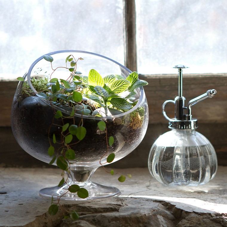 Üveg terrárium ötlet belső pozsgás növények ötlete