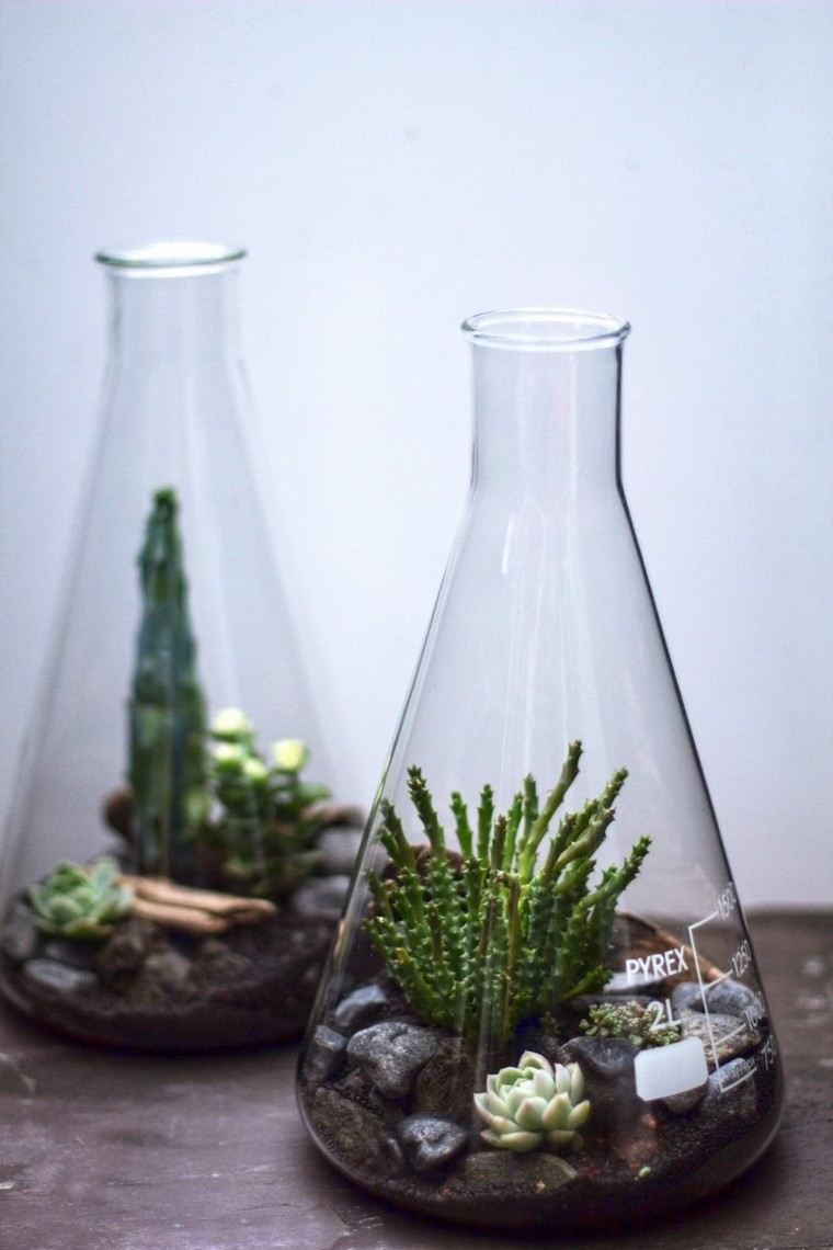 idea piccola bottiglia da giardino laboratorio idea originale