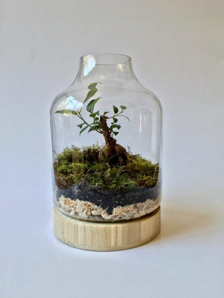 giardino in vetro bottiglia idea terrario