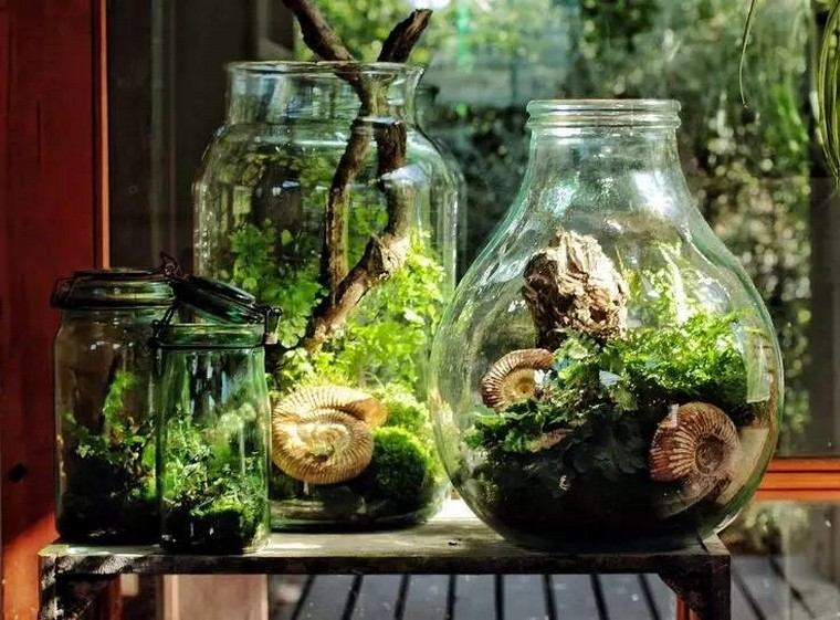 Növényi üveg ötlet nő növények belső lakás