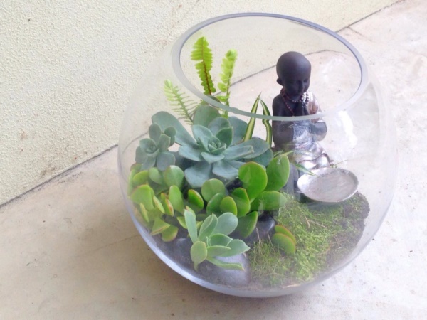 terrario idea succulente deco