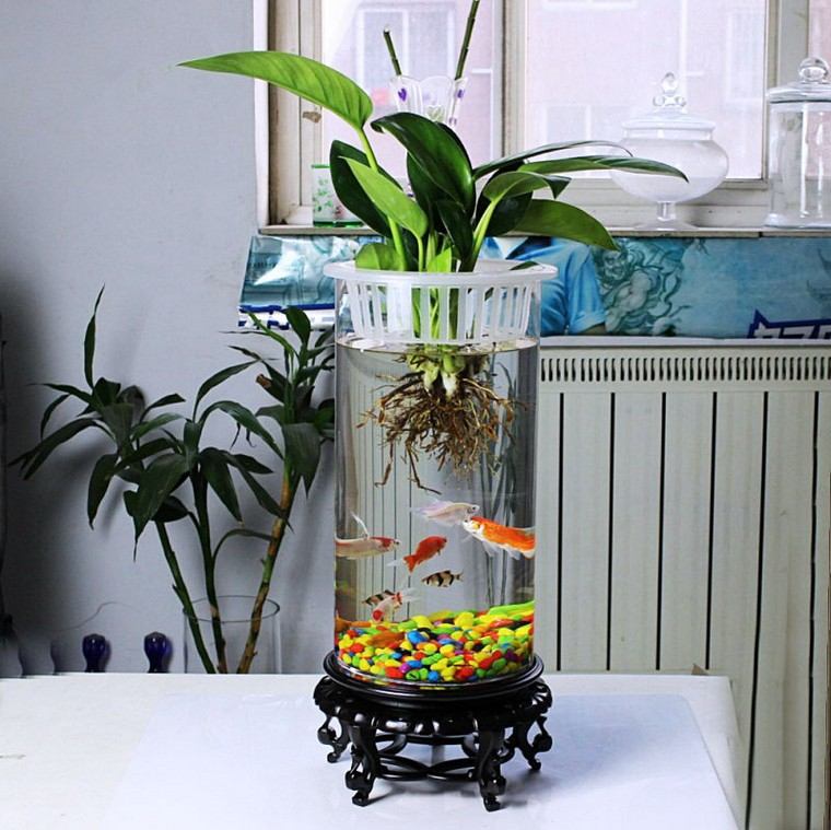 Beltéri növények ötlet terrárium hal akvárium zöld növény
